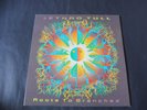 Jethro Tull - Roots To Branches 1995 UK DOUBLE LP CHRYSALIS 1st