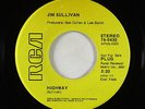 Folk Rock C&W 45 - Jim Sullivan - Highway - RCA - mp3