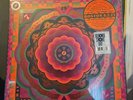 Grateful Dead 'Boston Garden, MA 5/7/77 Live' RSD 2023 Vinyl Box Set
