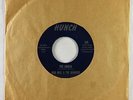 Garage 45 - Mad Mike & the Maniacs - The Hunch - Hunch - mp3