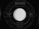Private Song Poem 45 - Bob Storm - Bad Boy - Halmark - mp3