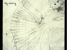 Annette Peacock - Sky-skating (LP, Album) (Near Mint (NM or M-)) - 2374543201