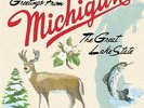 Sufjan Stevens - Michigan (NEW 2 VINYL LP)