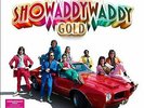 Showaddywaddy - Gold - 16 Track Vinyl Album - (Promo Stickered)