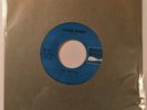The Turtles - Outside Chance / We'll Meet Again White Whale 45 RPM 1966 EX
