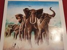 Armed Forces by Elvis Costello-- Mobile Fidelity Sound Lab Vinyl Record 2LP