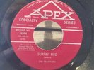 RARE CANADIAN 45 THE TRASHMEN: Surfin' Bird / King of The Surf - - Garage Surf –