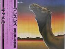 Camel - Breathless / NM / LP, Album, RE