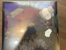 Snoop Doggy Dogg DoggyStyle by KAWS Gallery Picture LP VINYL Limited  Read Desc.