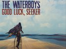 The Waterboys Good Luck, Seeker (Vinyl) 12