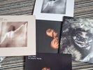 Kate Bush Remastered in Vinyl 12