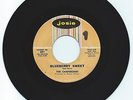 DOO WOP 45 THE CHAPERONES BLUEBERRY SWEET  ON JOSIE  VG+ ORIGINAL