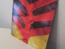 Yeah Yeah Yeahs - SHOW YOUR BONES - Vinyl LP - EX Wax  Rare 2006 Album