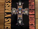 Appetite for Destruction  [LP] by Guns N' Roses (Vinyl,1987, Geffen 1st pressing