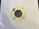 selena quintanilla vinyl record