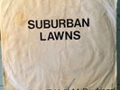 Suburban Lawns Gidget Goes To Hell 7