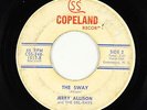 Rockabilly/Teen 45 - Jerry Allison & Del-Rays - The Sway - Copeland - obscure