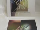Brian Eno Vinyl Forever Voiceless clear vinyl LP