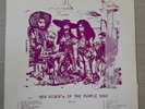 New Riders Of The Purple Sage Vinyl Lp
