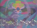 Echo & The Bunnymen Reverberation Korova Vinyl LP