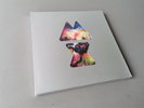 COLDPLAY limited edition Vinyl + CD BOX - Set Mylo Xyloto (2011 Parlophone EU)