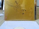 Pokémon The Johto Journeys Test Press Etched side Red Alert (not Moonshake) Rare