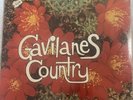 LOS TREMENDOS GAVILANES LP/ORIGINAL NORTENO sealed