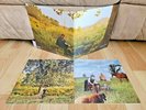 Bird, Andrew ‎- Noble Beast Double LP X2 Record set Vinyl