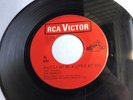 Rare Canada-only *Monkees* Rock 45  She Hangs Out  RCA Beauty