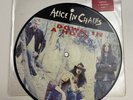 Alice In Chains - Down  In A Hole  7” Picture Disc Vinyl
