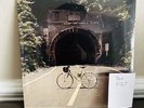 The Backseat Lovers When We Were Friends Vinyl LP Coke Bottle Clear WHIPLASH