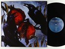 Glen Phillips - Winter Pays For Summer LP - Lost Highway NM