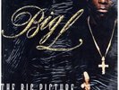 Big L - The Big Picture (1974 - 1999) '00 2xLP US ORG EX+/EX- W/S