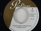 Taurus Riley 