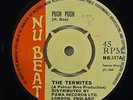 Termites 