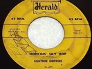 Lightnin' Hopkins Hopkins' Sky Hop/Lonesome In Your Home 1956 Blues Herald H-471
