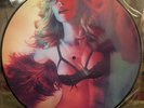 Madonna Girl Gone Wild picture disc vinyl