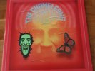 The Chameleons  - John Peel Sessions Vinyl Album
