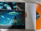*RARE* Bring Me the Horizon - Count Your Blessings ORANGE Translucent Vinyl LP