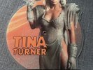 Tina Turner - We Don’t Need Another Hero  (Thunderdome)  7” vinyl picture disc