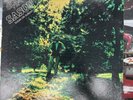 RAY OLAN Y SU SASON SUGAR ON SUNDAY GUAGUANCO ORIGINAL RECORD PLAYED LP PROMO