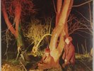 ECHO AND THE BUNNYMEN: Crocodiles US Sire New Wave Rock LP NM Vinyl