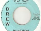 THE PRECISIONS What I Want Why Girl DREW DETROIT NORTHERN SOUL USA 45