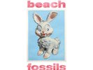 Beach Fossils - Bunny Powder Blue Vinyl Ediiton (2023 - US - Original)