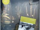 Echo And The Bunnymen  Evergreen White vinyl +Very Limited John Peel sessions cd