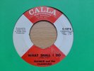 FRANKIE AND THE CLASSICALS - WHAT SHALL I  DO - CALLA 127 - VG++ TO EX