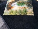 PINK FLOYD - A SAUCERFUL OF SECRETS - UK - 1st PRESS - STEREO - NEAR MINT