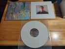 alt-J - An Awesome Wave - White Vinyl Gatefold LP Record Album 2012 INFECT134LP