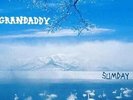 GRANDADDY: SUMDAY (LP vinyl *BRAND NEW*.)