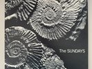 The Sundays - Reading, Writing And Arithmetic - 1990 UK Adrenaline Press